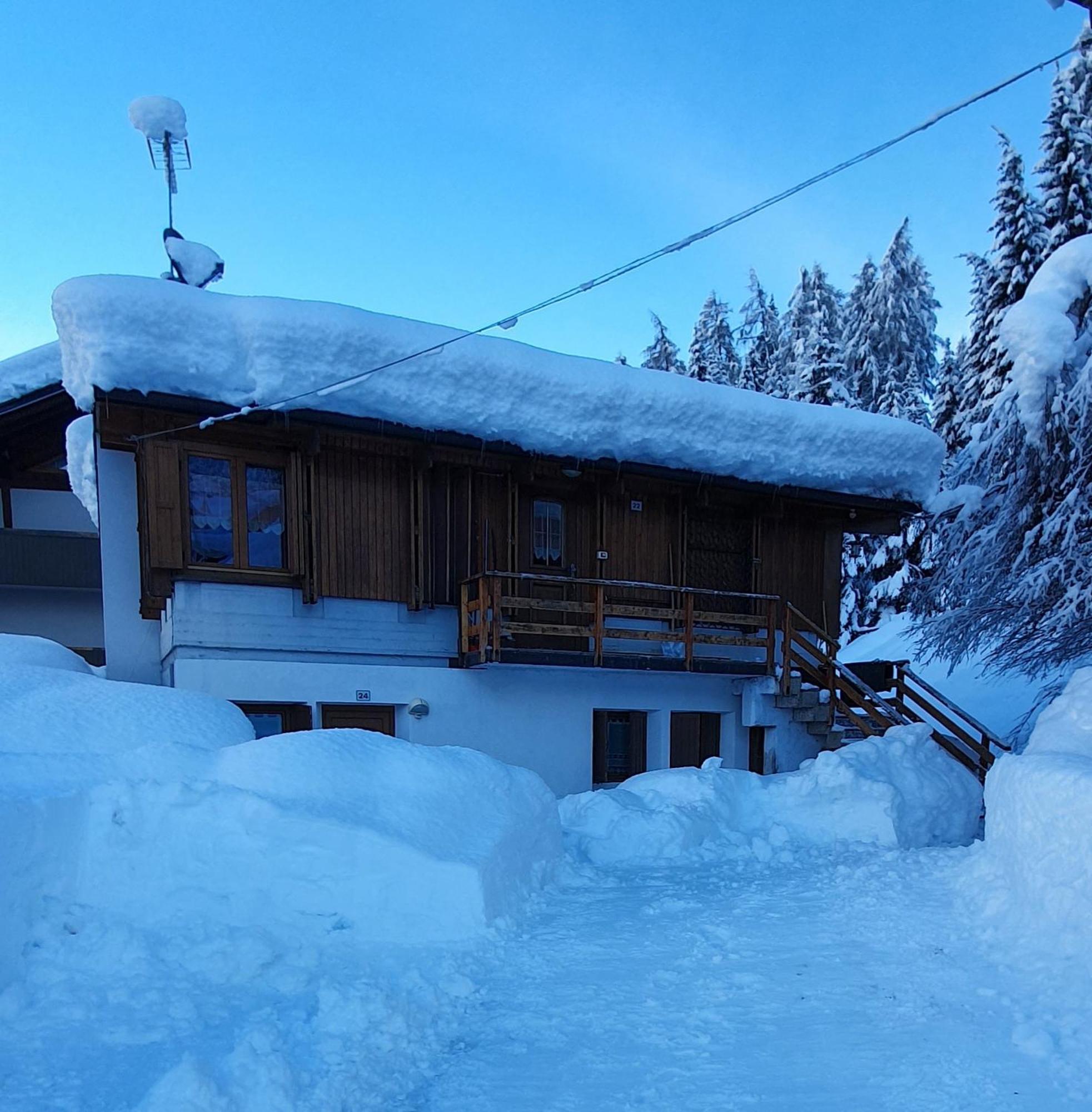 Villa Gaia Folgarida Bagian luar foto